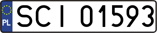 SCI01593