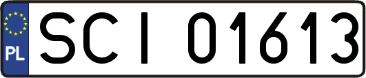 SCI01613