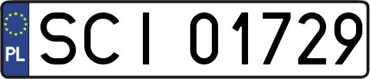 SCI01729