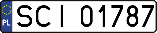 SCI01787