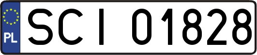SCI01828