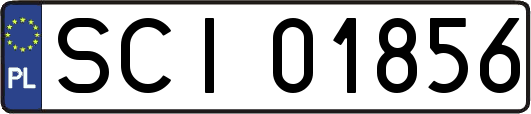 SCI01856