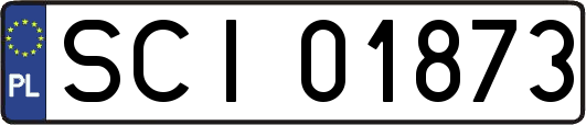 SCI01873
