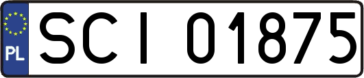 SCI01875