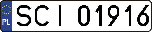 SCI01916
