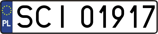 SCI01917