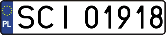 SCI01918