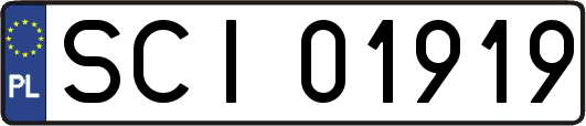 SCI01919