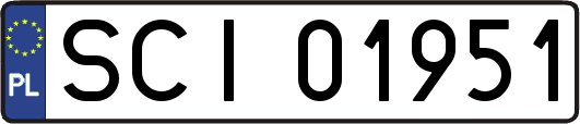 SCI01951