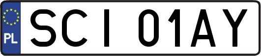 SCI01AY