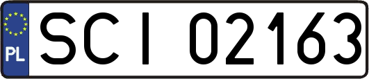 SCI02163