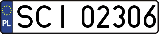 SCI02306