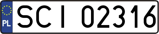 SCI02316