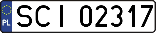 SCI02317
