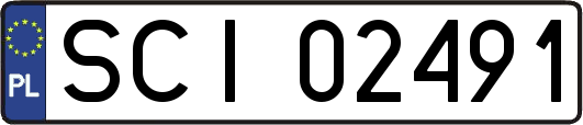 SCI02491