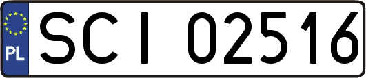 SCI02516