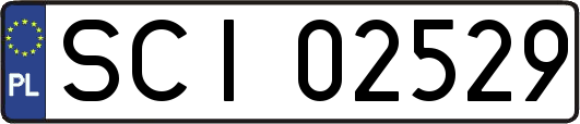 SCI02529