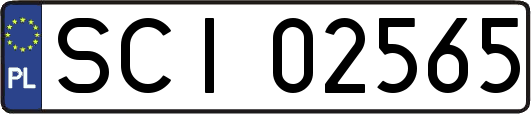 SCI02565