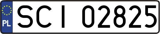 SCI02825