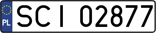 SCI02877