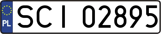 SCI02895