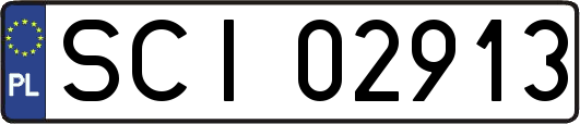 SCI02913