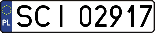 SCI02917
