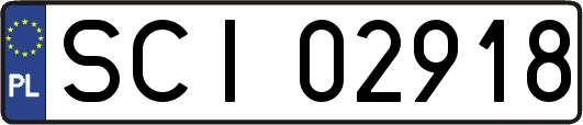 SCI02918