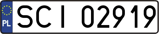 SCI02919