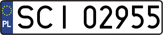 SCI02955