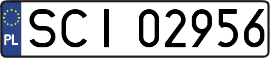 SCI02956