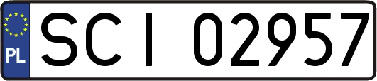 SCI02957