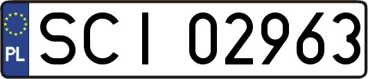 SCI02963