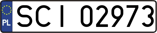 SCI02973