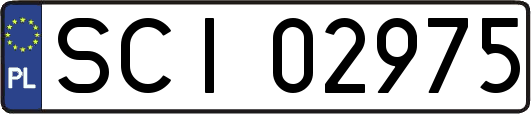 SCI02975