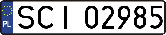 SCI02985
