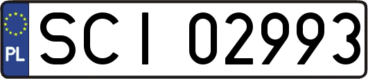 SCI02993