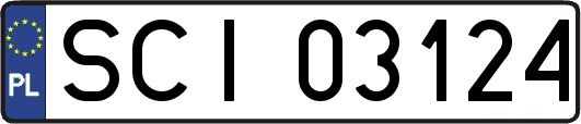 SCI03124