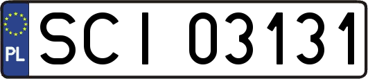 SCI03131