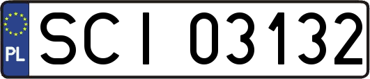 SCI03132