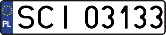 SCI03133
