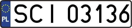SCI03136
