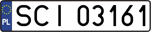 SCI03161