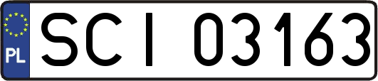 SCI03163