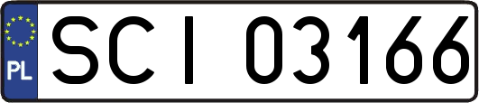 SCI03166