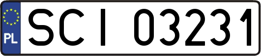 SCI03231
