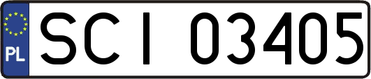 SCI03405
