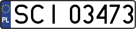 SCI03473