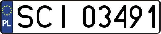 SCI03491