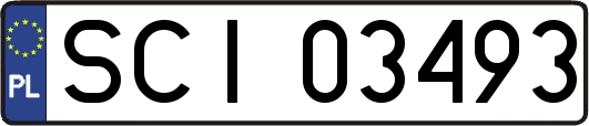 SCI03493